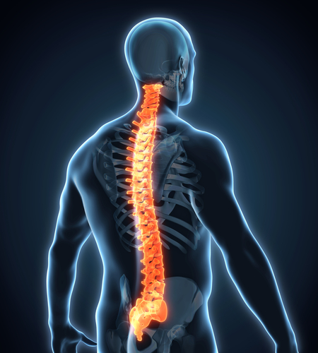 A Different Look At Back Pain & Sciatica | Sciatica Relief News